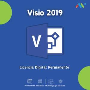 Microsoft Visio 2019 Pro Online 1 PC